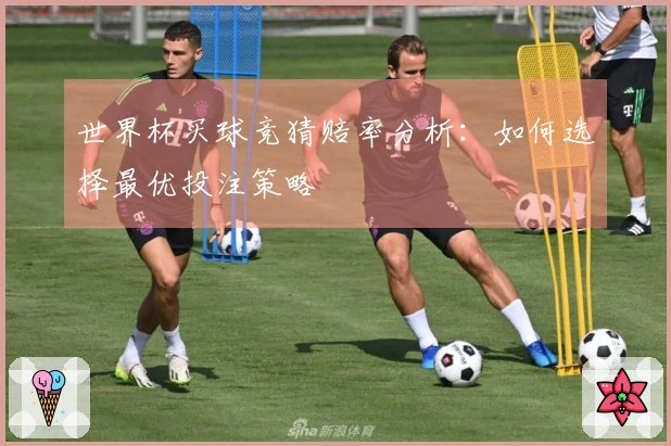 世界杯买球竞猜赔率分析：如何选择最优投注策略