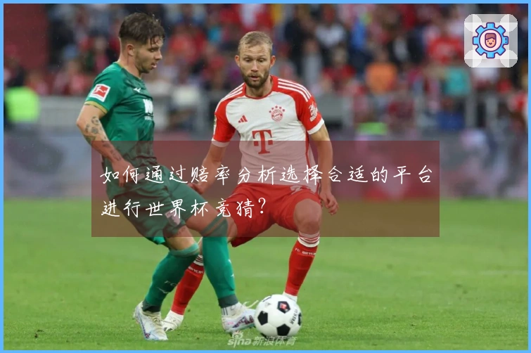 如何通过赔率分析选择合适的平台进行世界杯竞猜？