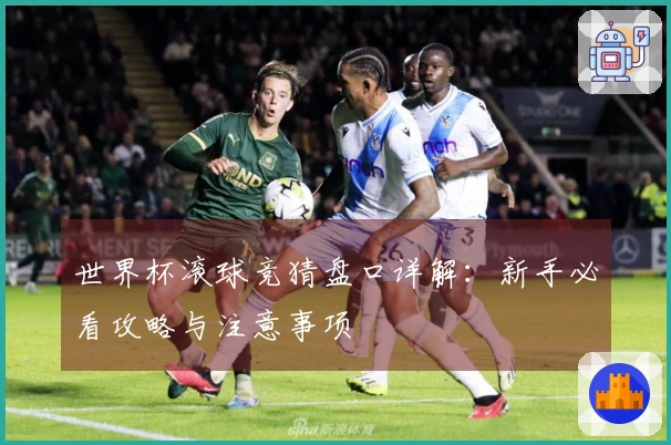 世界杯滚球竞猜盘口详解：新手必看攻略与注意事项