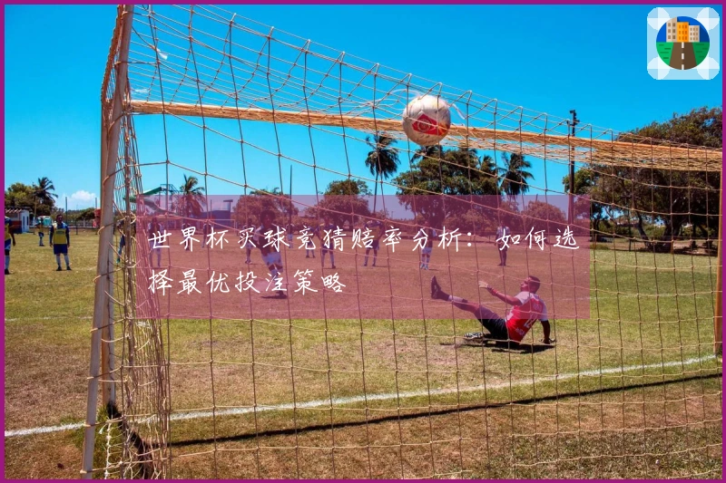 世界杯买球竞猜赔率分析：如何选择最优投注策略